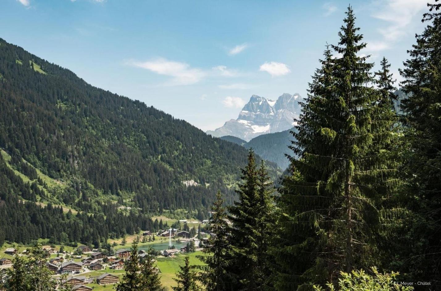 Toison Blanche Tba3 Cosy & Mountain 4 Pers Apartment Châtel Exterior photo